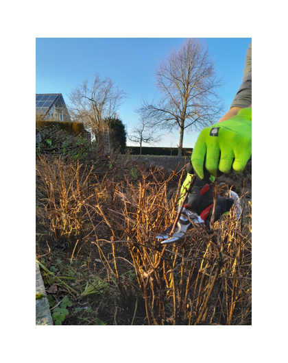 Kundenfoto 1 Gartengestaltung Lieb Christoph