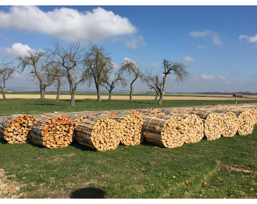 Kundenfoto 9 Sachs Gerüstbau, Baumaschinenverleih