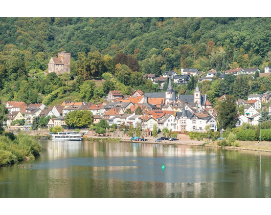 Kundenfoto 4 Stadtverwaltung Neckarsteinach