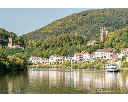 Kundenfoto 5 Stadtverwaltung Neckarsteinach