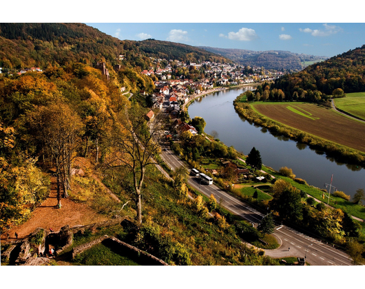 Kundenfoto 6 Stadtverwaltung Neckarsteinach