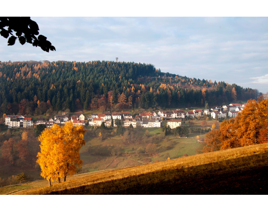 Kundenfoto 4 Gemeinde Wilhelmsfeld