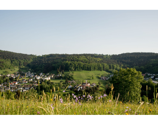 Kundenfoto 2 Gemeinde Wilhelmsfeld