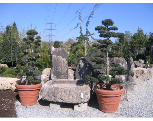Kundenfoto 2 Wiggenhauser Gartenbau GmbH