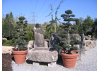 Kundenbild groß 2 Wiggenhauser Gartenbau GmbH