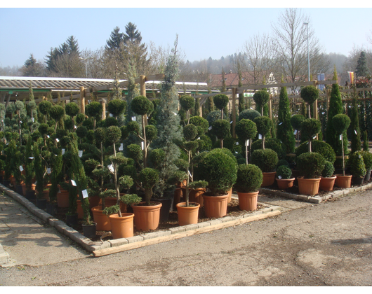 Kundenfoto 4 Wiggenhauser Gartenbau GmbH