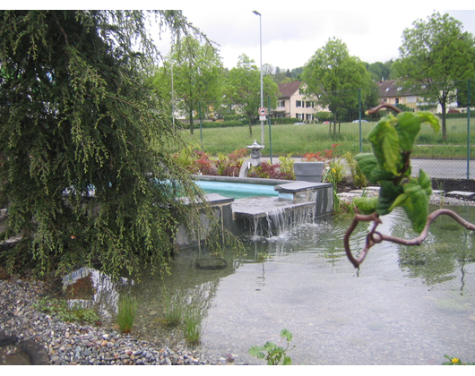 Kundenfoto 3 Wiggenhauser Gartenbau GmbH