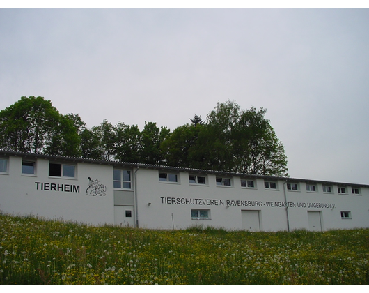 Kundenfoto 3 Tierschutzverein Tierheim