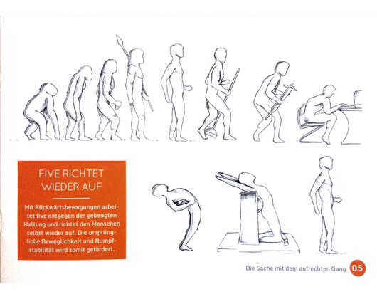 Kundenfoto 6 Schäfer GmbH Physiotherapie & Krankengymnastik