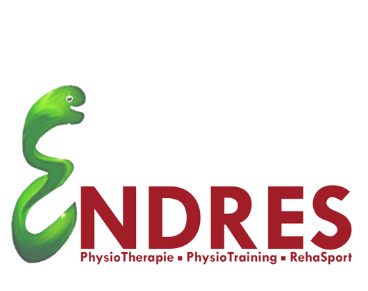 Kundenfoto 1 Physiotherapie Endres Rehasport Tuttlingen e.V. Med. Gerätetraining, Osteopathie