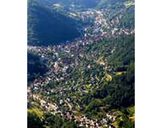 Kundenfoto 3 Große Kreisstadt Schramberg Stadtverwaltung