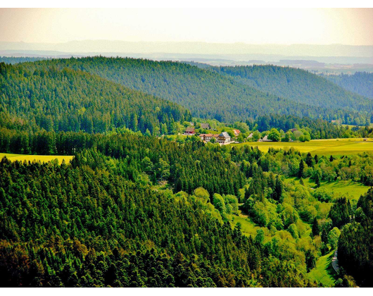 Kundenfoto 2 Landgasthof zum Schwanen