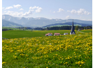 Kundenbild groß 2 Gemeindeverwaltung Stiefenhofen