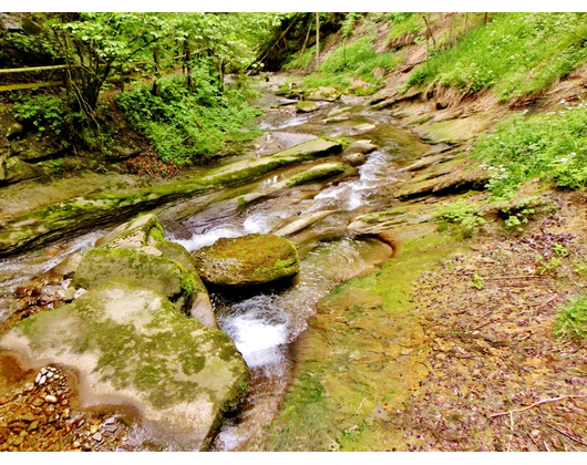 Kundenfoto 4 Gemeindeverwaltung Weiler-Simmerberg