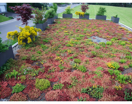 Kundenfoto 5 GartenAkzente STRAHL GmbH Garten- und Landschaftsbau