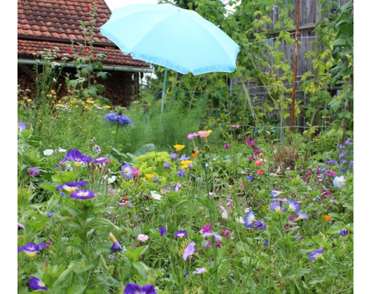 Kundenfoto 2 Naturalis Gartengestaltung Meisterinbetrieb