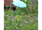 Kundenbild groß 2 Naturalis Gartengestaltung Meisterinbetrieb