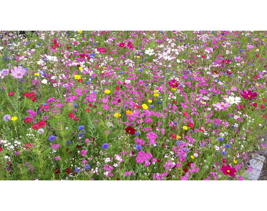 Kundenfoto 10 GartenAkzente STRAHL GmbH Garten- und Landschaftsbau