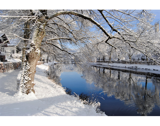 Kundenfoto 10 Hotel-Gasthof Schiff