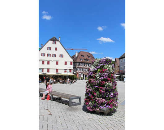 Kundenfoto 2 Stadtverwaltung Nagold