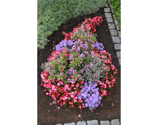 Kundenfoto 7 Blumenland Wiedmaier Blumenfachgeschäft und Gärtnerei