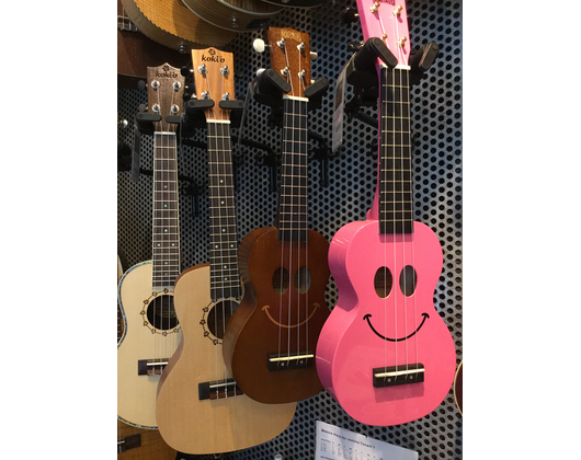 Kundenfoto 8 Fabiani Guitars & Drums Musikhaus