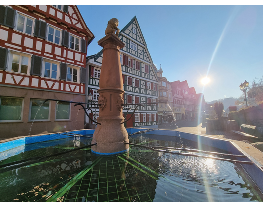 Kundenfoto 1 Stadtverwaltung Calw