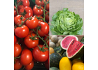 Kundenbild groß 6 Alko-Frucht Fruchtimport Alfred Kotz GmbH & Co. KG