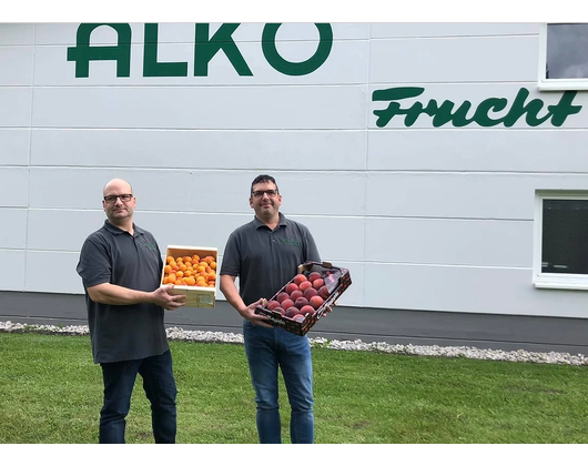 Kundenfoto 3 Alko-Frucht Fruchtimport Alfred Kotz GmbH & Co. KG