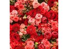 Kundenbild groß 7 Blumenhaus und Gartenbetrieb Außem GbR Blumen & Gärtnerei