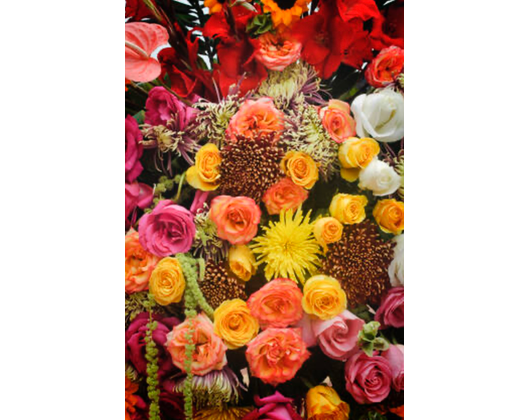 Kundenfoto 8 Blumenhaus und Gartenbetrieb Außem GbR Blumen & Gärtnerei