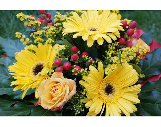 Kundenfoto 5 Blumenhaus und Gartenbetrieb Außem GbR Blumen & Gärtnerei