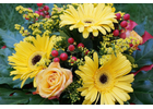 Kundenbild groß 5 Blumenhaus und Gartenbetrieb Außem GbR Blumen & Gärtnerei