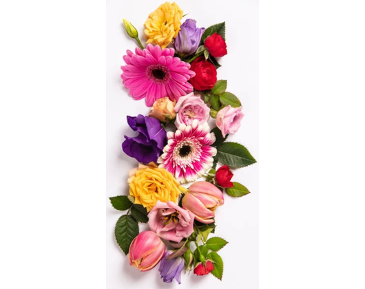 Kundenfoto 6 Blumenhaus und Gartenbetrieb Außem GbR Blumen & Gärtnerei
