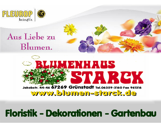 Kundenfoto 8 Blumen Starck Blumenhaus