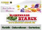 Kundenbild groß 8 Blumen Starck Blumenhaus