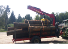 Kundenbild groß 1 Ketzer Timo Forstwirt Forst- und Gartenarbeiten