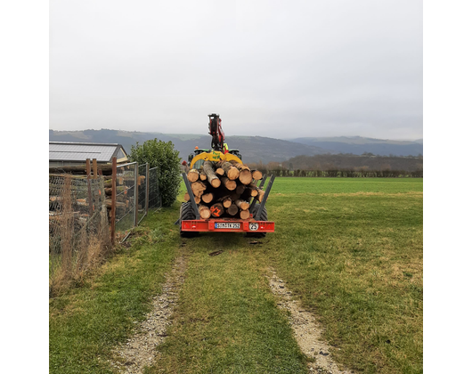 Kundenfoto 4 Ketzer Timo Forstwirt Forst- und Gartenarbeiten
