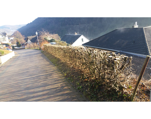 Kundenfoto 10 Ketzer Timo Forstwirt Forst- und Gartenarbeiten