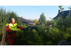 Kundenbild groß 6 Ketzer Timo Forstwirt Forst- und Gartenarbeiten