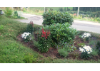 Kundenbild groß 2 Ketzer Timo Forstwirt Forst- und Gartenarbeiten