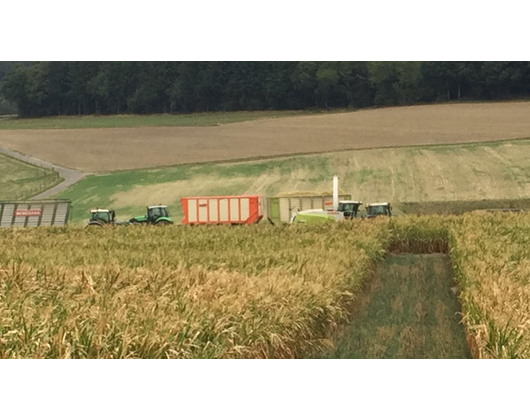 Kundenfoto 5 Pickartz Björn Lohnunternehmen - Baggerarbeiten - Garten- und Landschaftsbau