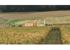 Kundenbild groß 5 Pickartz Björn Lohnunternehmen - Baggerarbeiten - Garten- und Landschaftsbau