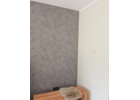 Kundenbild klein 5 Maler Backes