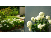 Eigentümer Bilder Hammes & Kramp GmbH Gartengestaltung Konz