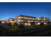 Eigentümer Bilder IVG Immobilien- Vermittlungs- und Verwaltungsgesellschaft mbH Immobilien-Hausverwaltung & Vermittlung Trier