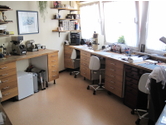 Eigentümer Bilder Biewer Augenoptik GmbH Saarburg