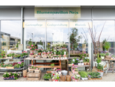 Bildergallerie Blumenpavillon Neis Trier