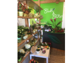 Bildergallerie Blatt & Blüte Blumengeschäft Inh. Carina Wichmann Pluwig