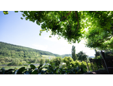 Eigentümer Bilder Boutiquehotel Kloster Pfalzel Trier
